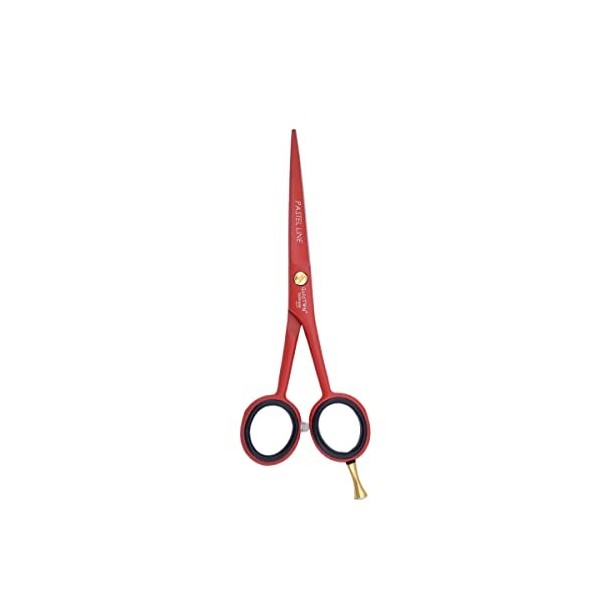 GOLDTON Pastel Rouge Ciseaux de coiffure 5.5 pouce - J2 Acier Japonais - Ciseaux de salon de coupe de cheveux et de barbe - T