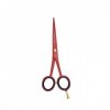 GOLDTON Pastel Rouge Ciseaux de coiffure 5.5 pouce - J2 Acier Japonais - Ciseaux de salon de coupe de cheveux et de barbe - T