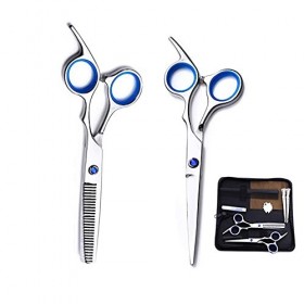 Ensemble de ciseaux de toilettage pour animaux de compagnie, ensemble de ciseaux de coiffeur professionnels de 6,0 pouces Cis