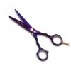 Professionnel Coupe de Cheveux 5.5 Pouces Violet Barber Ciseaux Amincissants Ciseaux Haut de Gamme Scénographie Coiffure 6CR 