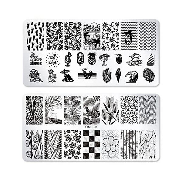 XPEX Lot de 2 plaques destampage pour nail art, modèle de conception dimage de thème pour la conception dart dongles, imp