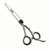 Sharp japonais coiffeur en argent ciseaux 6 pouces 17,5cm salon de coiffure professionnel ciseaux faisaient des ciseaux mince