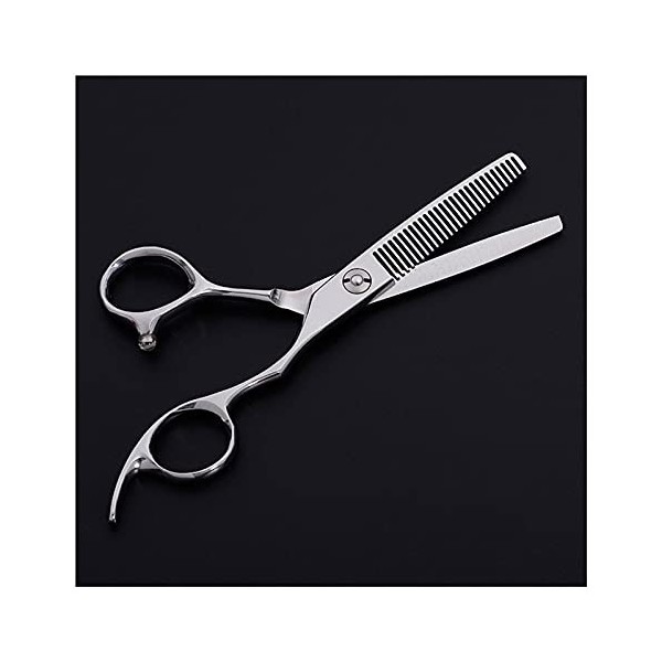 Ciseaux pour coupe de cheveux, ciseaux de coiffure de 5,5 pouces, ciseaux de coiffure professionnels pour coiffeur, ciseaux à