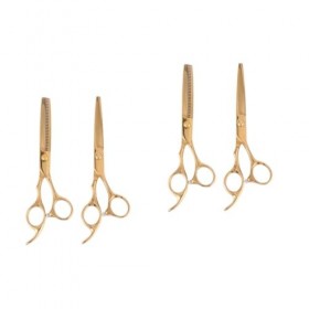 minkissy 4 Pcs Kit De Beauté Frange Ciseaux De Coupe De Cheveux Kit De Cosmétologie Usage Professionnel Rasoir Pour Animaux D