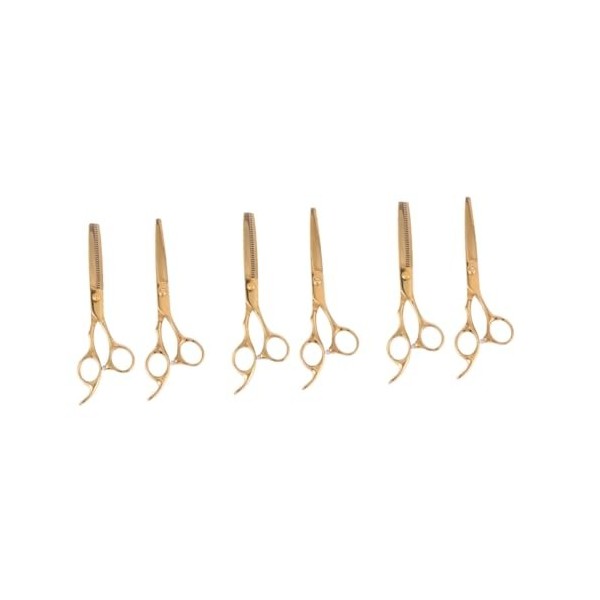 minkissy 4 Pcs Kit De Beauté Frange Ciseaux De Coupe De Cheveux Kit De Cosmétologie Usage Professionnel Rasoir Pour Animaux D