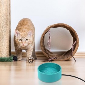 JVAN Bol deau chauffée pour Poulets | Bol pour Animaux de Compagnie à Plat deau chauffante de 108 onces,Gamelle dhiver Int