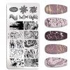 Onsinic Plaques Destampage des Ongles Modèle Marbre Nail Art Plaque Stencil Outils Pochoir en Acier Inoxydable Modèle Desta