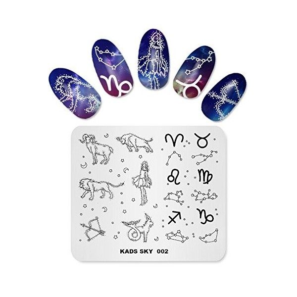 KADS Nouveau Nail Stamping Plate Fleur Mode Nature Nail Art Stamp Modèle DIY Image Gabarit Manucure Stamping Plate Stencil Ou