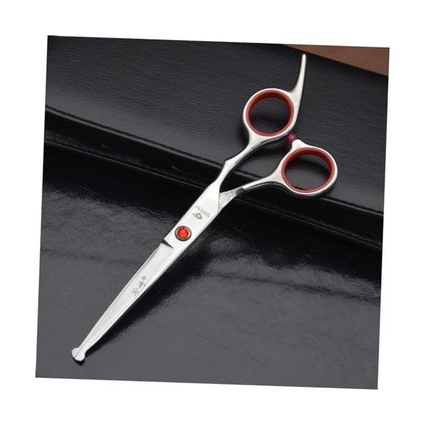 FRCOLOR 2 Pièces Tondeuses De Barbier Professionnelles Tondeuses Professionnelles Pour Barbiers Ciseaux Pour Coupe De Cheveux