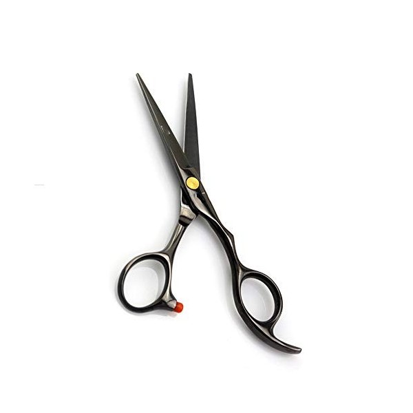 Ciseaux de coiffure Salon professionnel Coupe plate mince Ciseaux de coiffeur à coupe nette et précise Parfaits pour les femm