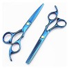 Ciseaux pour coupe de cheveux Ciseaux de coiffure bleus de 5,5/6 pouces, ciseaux de coiffure amincissants, ciseaux de coiffur