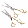 FRCOLOR 2Pcs Set Ciseaux De Coupe De Cheveux Ciseaux De Salon De Coiffure Ciseaux De Texturation Ciseaux De Coiffeur Outils D