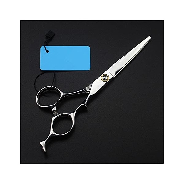 Ciseaux pour coupe de cheveux, ciseaux argentés de 6 pouces, ciseaux amincissants, ciseaux à dents, ciseaux de coiffeur, kit 