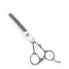 SUICRA Ciseaux Cuisine Ciseaux Ciseaux ForSchool Ciseaux de coiffure 1PC en acier, ciseaux pointus à la main Argent for coiff