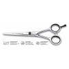 Filharmonónica Ciseaux de coupe pour coiffure, expert, 5,5"