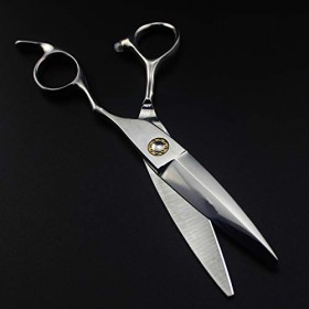 Ciseaux de coupe de cheveux, professionnel 440c acier 6 ciseaux de cheveux coupés en saule coupe de salon de coiffure cise Ra...