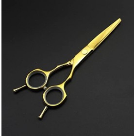 Ciseaux de coupe de cheveux, symétrie 440c de 5,5 pouces, ciseaux à deux queues, ciseaux amincissants, coupe de cheveux, cise...
