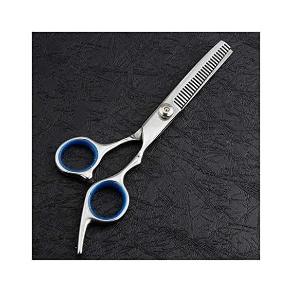 Ciseaux de coiffeur de 6 pouces Ciseaux de coiffure professionnels Ciseaux de coiffure pour femmes Beauty Bangs Coiffeur & 