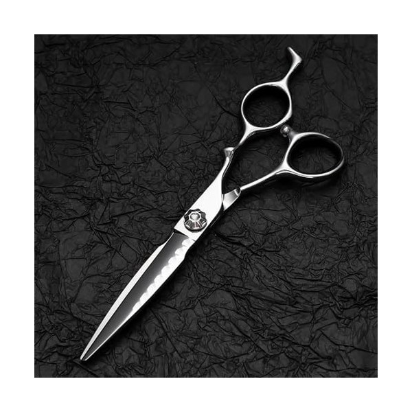 Ciseaux De Coupe De Cheveux, Ciseaux De Coiffure De Coiffure Professionnels 6 En 440C CNC Ciseaux De Dents De Coiffure Profes