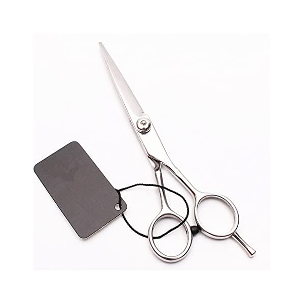 5.5 pouces petits ciseaux à cheveux ciseaux de coupe de cheveux sourcils barbier maquillage ciseaux de coupe ciseaux de coiff