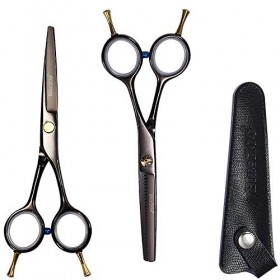 Kit de ciseaux de coupe de cheveux de 6,0 pouces Ensemble de ciseaux à effiler professionnels Ciseaux de coiffure en acier in