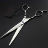 Ciseaux de coiffure professionnels pour gauchers, kit de coupe de cheveux Outils pour cheveux Ciseaux à cheveux Ciseaux droit