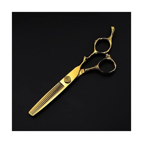 Ciseaux de coupe de cheveux, ciseaux à cheveux dorés 440C de 6 pouces, ciseaux de coiffure professionnels avec vis à gros rou