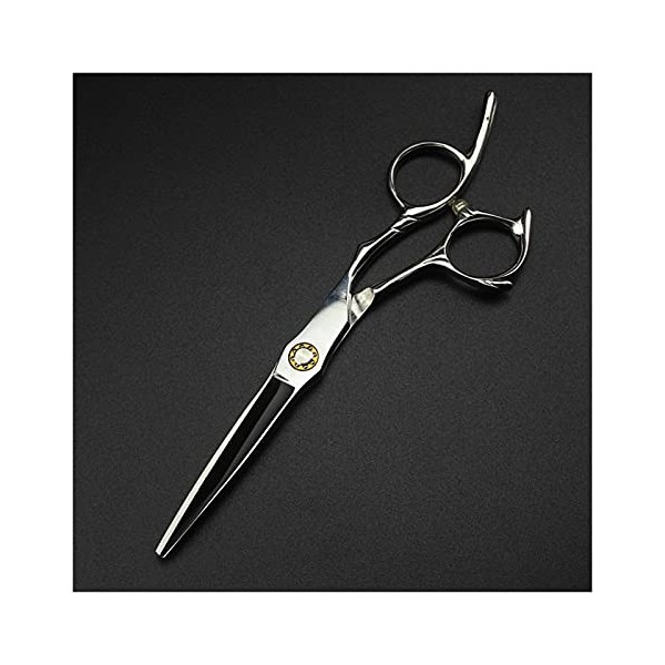 Ciseaux pour Coupe de Cheveux Ciseaux de Coupe de Cheveux de 6 Pouces, Ciseaux de Coiffure, pour Coiffeurs, Ciseaux Amincissa