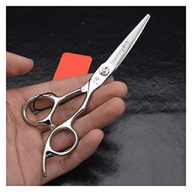 Cisailles de Coupe des Cheveux Ciseaux spéciaux pour la Coupe de Cheveux en Acier Inoxydable, Cheveux de Rasoir Professionnel