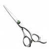 Ciseaux de coupe de cheveux, cisailles à cheveux professionnelles Coupe de cheveux Green Diamond Large Ear Handle 6 "inch Fla