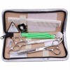 GaoF Ensemble de Coiffure Professionnel pour Coiffeur de 6 Pouces, Ensemble doutils de Coiffure familiaux à Ciseaux Plats + 