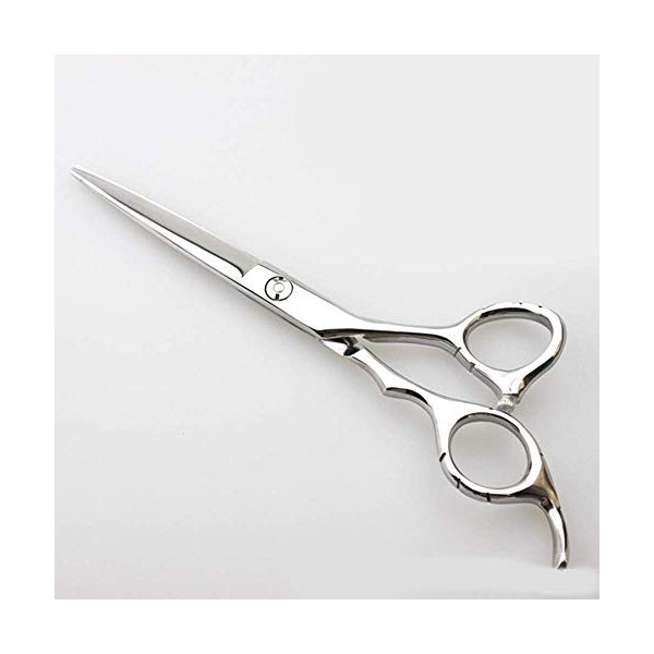 GaoF Outils de Coiffure Professionnels pour Coiffeur de 6 Pouces, Ciseaux à Franges + Ensemble de Ciseaux à Dents, résistant 