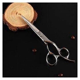 Tondeuse à cheveux pour styliste, cheveux de rasoir professionnels, cisailles plates, cisailles texturantes pour cisailles de