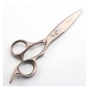 Ciseaux de coiffure 15,2 cm, ciseaux de coiffure coulissants, ciseaux de saule, ciseaux de coiffure professionnels, ciseaux d