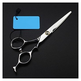 Ciseaux argentés de 6 pouces, ciseaux à effiler les cheveux, ciseaux à dents, ciseaux de coiffeur cisailles de coupe de cheve