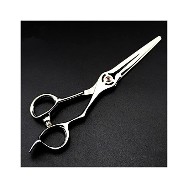 Ciseaux pour coupe de cheveux professionnel Japon 440c 6 pouces coupe creuse ciseaux de cheveux salon de coiffure amincisseme