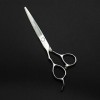 Ciseaux de coupe de cheveux, 5,5/6 pouces professionnels 440c argent gaucher coupe ciseaux de cheveux coupe barbier coupe de 