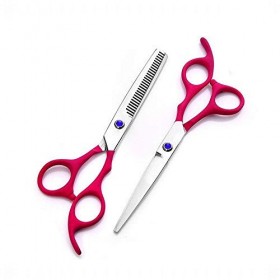 GaoF Ciseaux de Coiffure à Peinture élastique en Acier Inoxydable, Ensemble de Ciseaux de Coiffure Professionnels de 6 Pouces