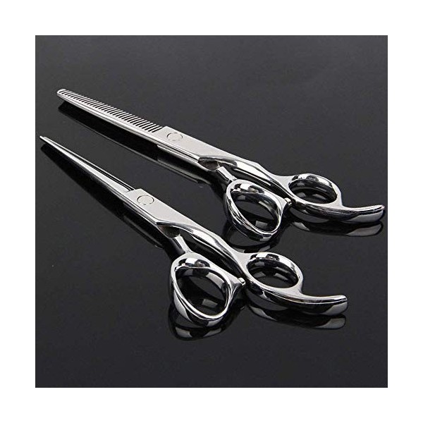 GaoF Ensemble de Coiffure Professionnel pour Coiffeur de 6 Pouces Ensemble doutils de Coiffure Professionnels Haut de Gamme,