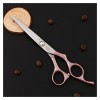 Ciseaux de coupe de cheveux manche en or rose, spécial pour salon de coiffure, ciseaux de coiffure en argent, ciseaux à dents