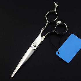 Ciseaux à cheveux professionnels de haute qualité, ciseaux à cheveux en acier inoxydable tranchants, ciseaux de coiffeur micr