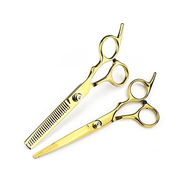 Ciseaux de coupe de cheveux, professionnel 440c en acier 6 pouces 5 couleurs ensemble de ciseaux à cheveux outils de coupe de
