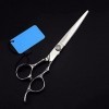 Ciseaux en acier inoxydable Freelander Cutting Straight Scissors Salon Hairdresser Style Hair Clipper