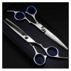 Générique Cisailles pour la Coupe de Cheveux Coiffure Professionnelle Ciseaux Straight Thinning Cutting Styling Tool Cutting 