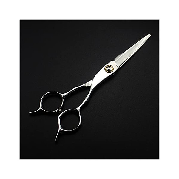 Cisailles de Coupe des Cheveux Ciseaux de Coiffure de 6 Pouces, Ciseaux damincissement des Cheveux, Ciseaux de Coiffure, Cis