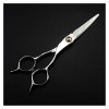 Cisailles de Coupe des Cheveux Ciseaux de Coiffure de 6 Pouces, Ciseaux damincissement des Cheveux, Ciseaux de Coiffure, Cis