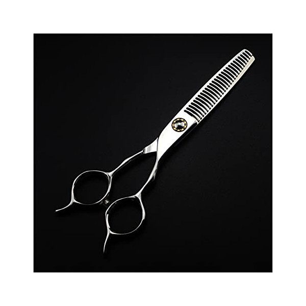 Cisailles de Coupe des Cheveux Ciseaux de Coiffure de 6 Pouces, Ciseaux damincissement des Cheveux, Ciseaux de Coiffure, Cis