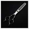 Cisailles de Coupe des Cheveux Ciseaux de Coiffure de 6 Pouces, Ciseaux damincissement des Cheveux, Ciseaux de Coiffure, Cis