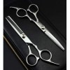 Haarschere Ciseaux de Coiffure,Ciseaux de Coupe de Cheveux Ciseaux de Coiffeur,Ciseaux Ciseaux de Coiffure,Argent,Set