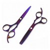 Ciseaux de coupe de cheveux 5.5/6 "pouces Ciseaux de coiffure violets Ciseaux de coiffure Ciseaux de coiffure amincissants Ci